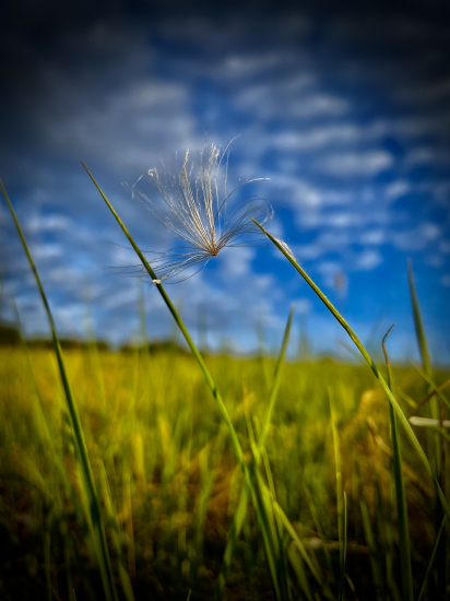 Vzlet nepovolený…