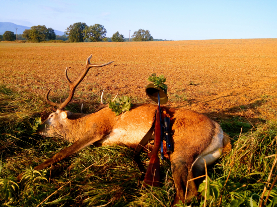 Desatorák zo strniska