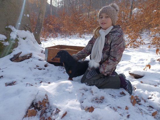 Sarka pravidelne prikrmuje