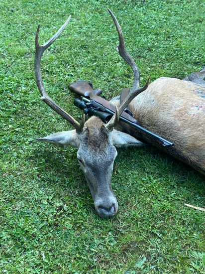 Dohľadávka s farbiarom