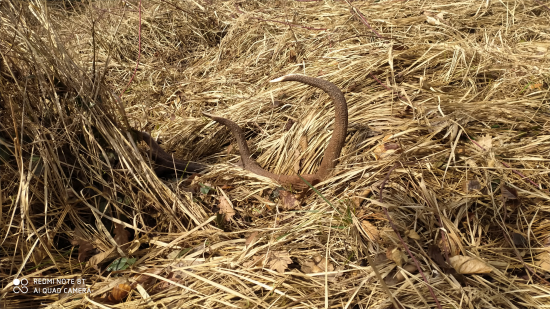 Šťastie sa unavilo