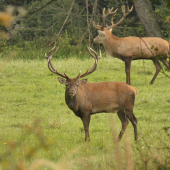 Krásne chvíle :-)
