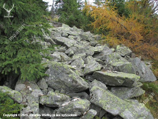 Tatry