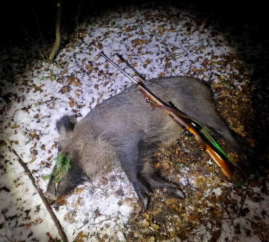 ...večerný diviak...