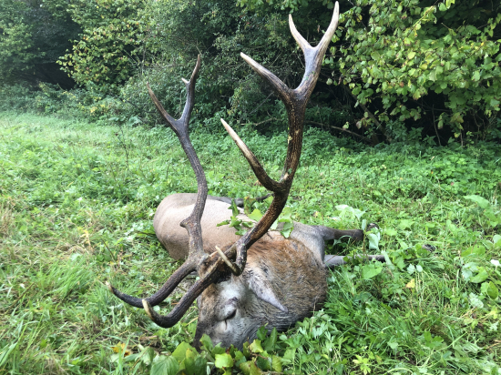 Nech sa nam splnia vsetky prania ….Stastne a vesele vianoce….