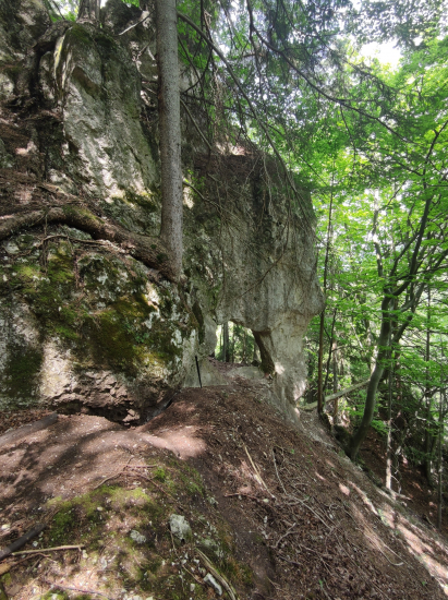 V Necpalskej doline