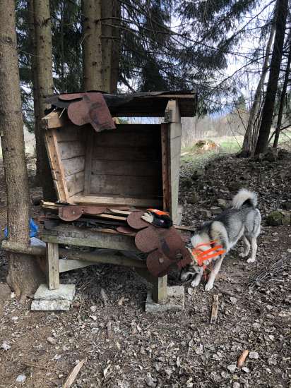 po návšteve medveďa