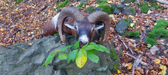 Keď  som si myslel že ma šťastie opustilo