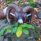 Keď  som si myslel že ma šťastie opustilo