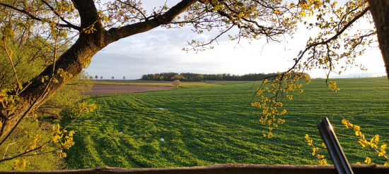 Rána jsou tu krásná, ale ty večery...