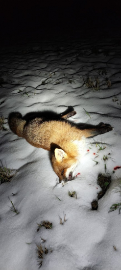 Další kmotra ze Březí