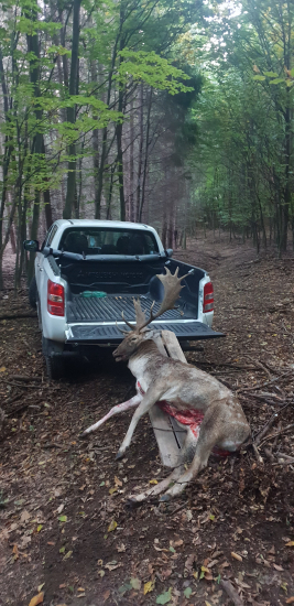 Polovacka zacina po vystrele????????