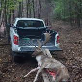 Polovacka zacina po vystrele????????