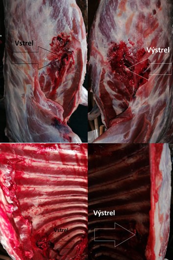 Norma VULKAN 12,7g - 8x57JS