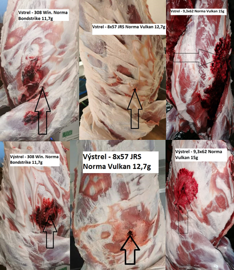 Norma Bondstrike 308 Win. a Vulkan 8x57JRS a 9,3x62