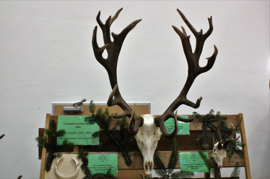 Výstava trofejí