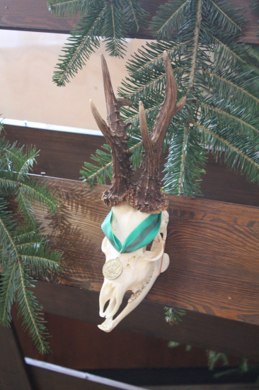 Nejsilnější trofej výstavy