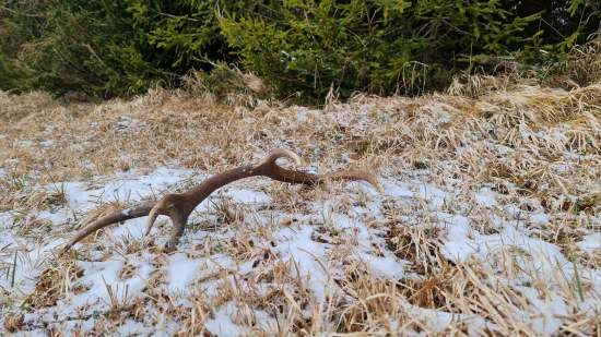 9/2021 zatiaĺ bieda!