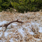 9/2021 zatiaĺ bieda!