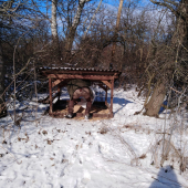 Prikrmovanie