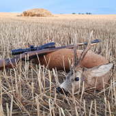 Oplatí sa ráno vstávať na ruju