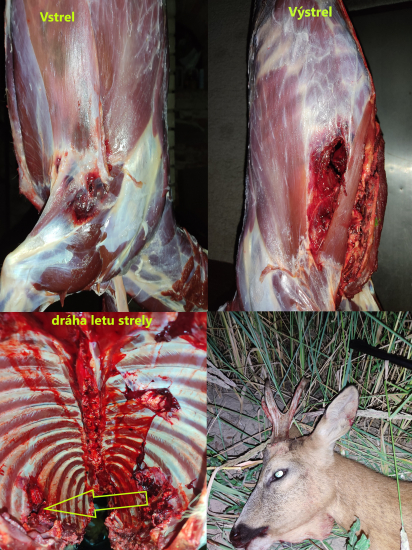 Bondstrike 308win 11,7g