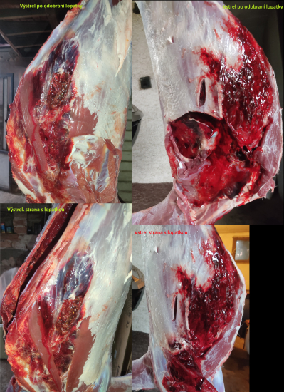 Norma Bondstrike 308win vs danielča