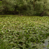 Pri najnižšom bode na Slovensku
