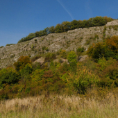 Červenokamenské bralo