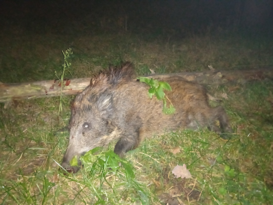 Už sa blížime k dvadsiatke.