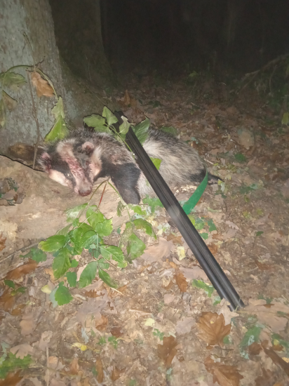 Hradný pán z tohoto roku