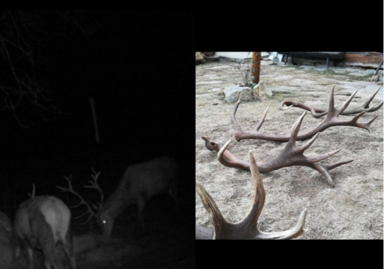 Zhody aj s majiteľom