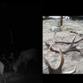 Zhody aj s majiteľom