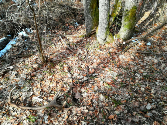 Mocná para 14-torák