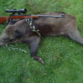 Kanček zo slnečnice