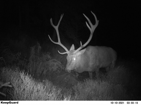 Silný horský spiatočník.