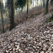 Nejde sa na prázdno -)