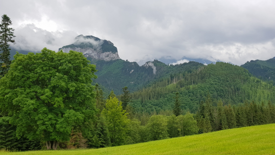 Muráň