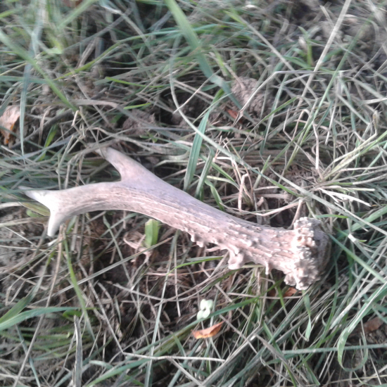 Na hubach sa poštastilo.