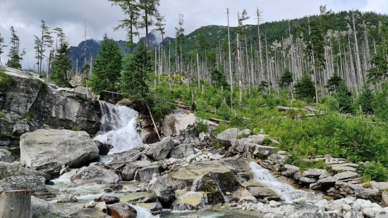 Vysoké Tatry