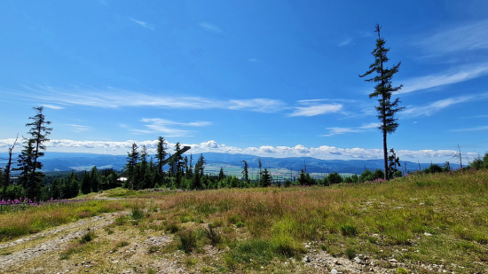 Vysoké Tatry