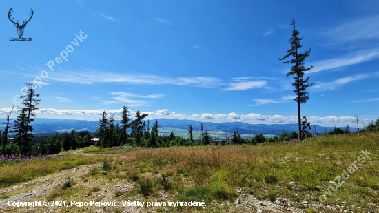 Vysoké Tatry