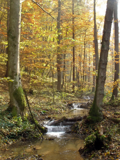 jeseň a horské bystriny