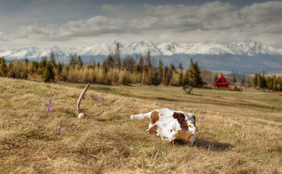 Čosi tam nesedí ..