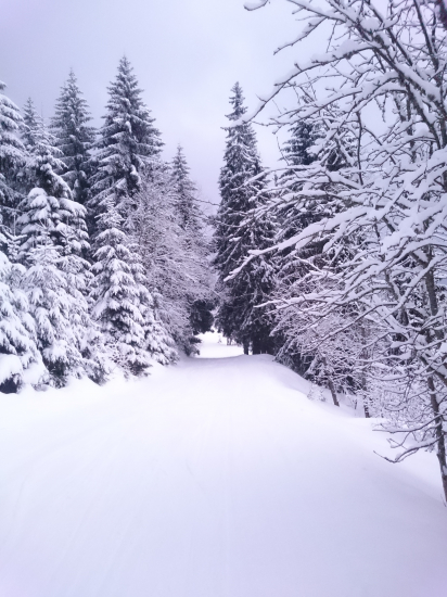 Zasnežená cestička