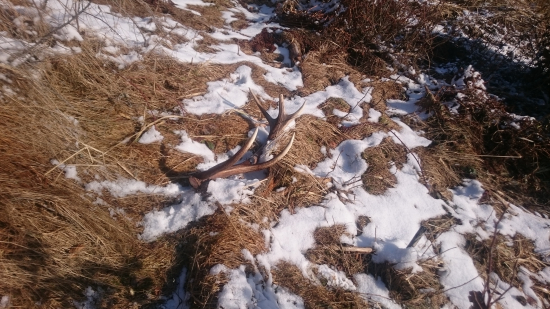 Takto bol odložený