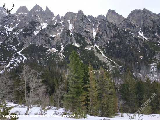 Vysoké Tatry