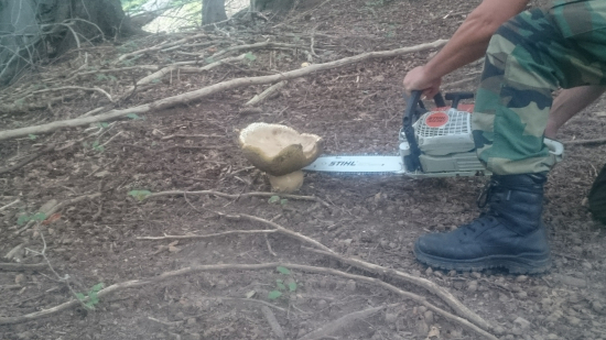 Pri čistení chodníka