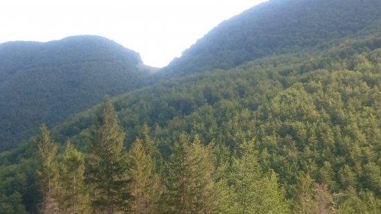 Sedlo