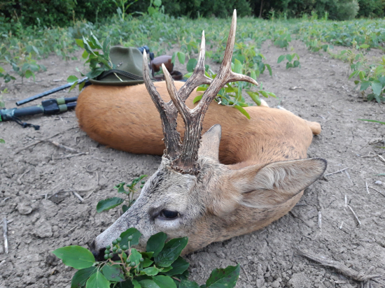 Spomienka na ruju ´21. Bronz 108.15 b CIC